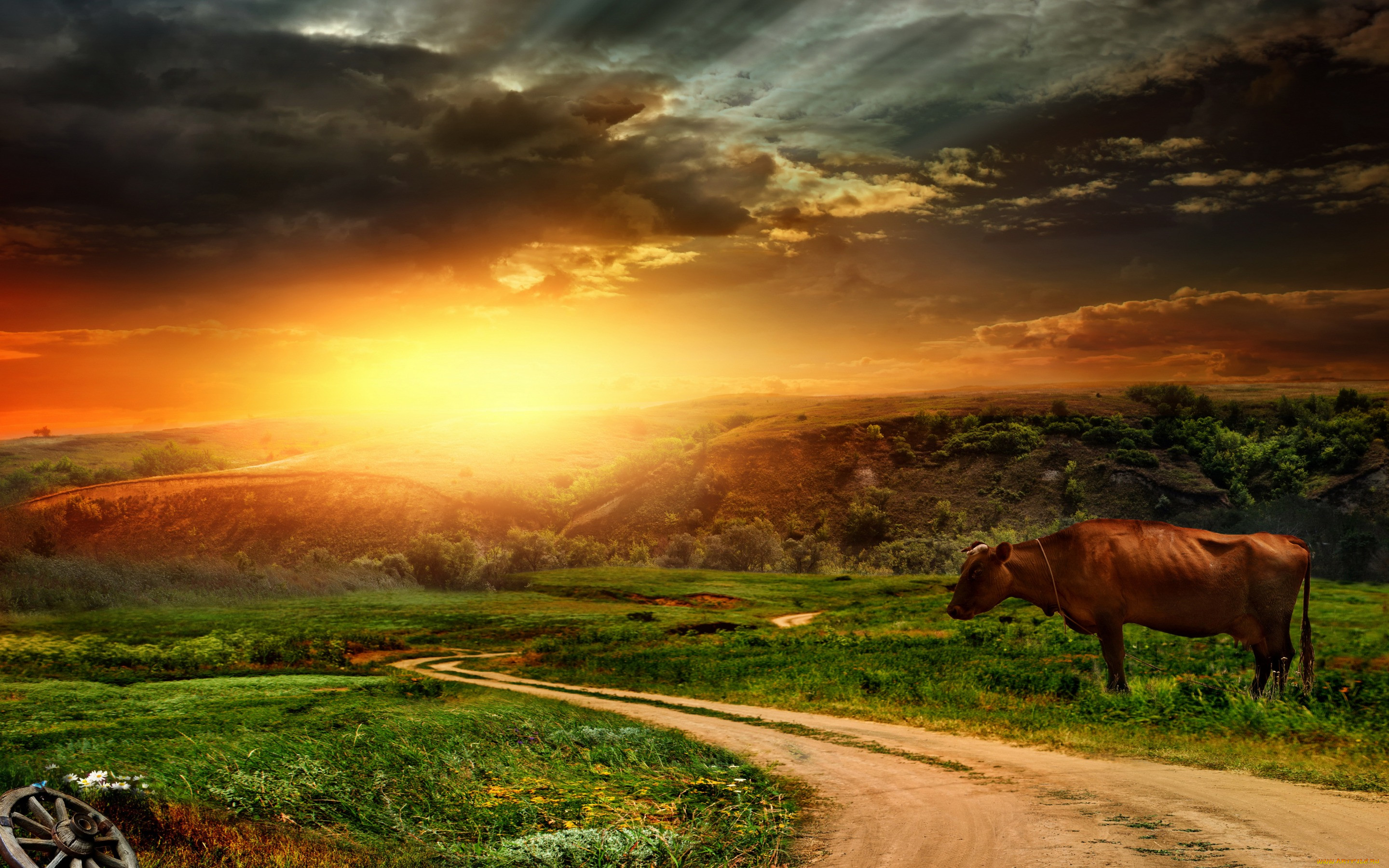 , ,  , , , , , nature, landscape, sky, , sunset